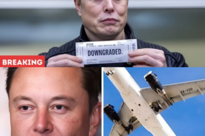 The 2026 Tesla Model 2 is officially here, and Elon Musk’s hidden $25,000 EV surprise is leaving fans speechless.