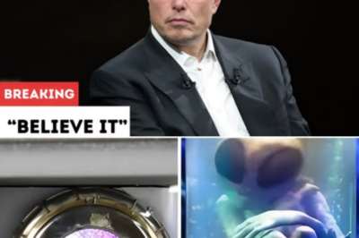 Elon Musk Reportedly Enters Area 51 and What He Uncovered Inside Has the World Struggling to Believe It.