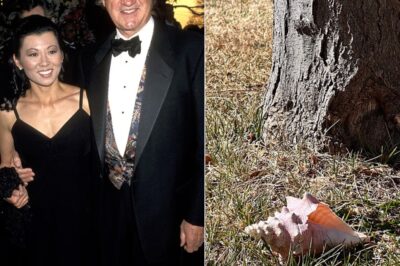 Gene Hackman and his wife Betsy Arakawa are being remembered as attention returns to a quiet resting place reportedly marked by a simple conch shell, while discussions involving the late actor’s three children and his reported $90 million estate continue to draw public curiosity nearly a year after the couple’s passing and renewed interest in the legacy they left behind.