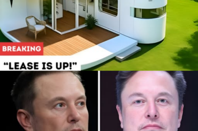 Lease is up! Elon Musk reveals Tesla tiny house of 2026: What’s behind this SHOCKING invention that will let you buy a house at 20 years old