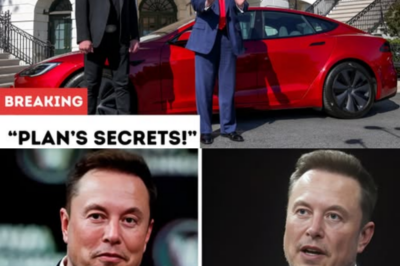 $8,995 Model 2 Finally Arrives: Elon Musk Reveals 2026 Production Plan’s Secrets! Details Here.