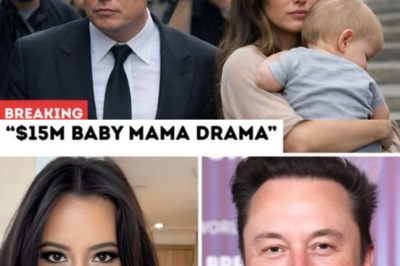 Elon Musk’s $15M Baby Mama Drama: A Custody Battle That’s Dividing the Internet