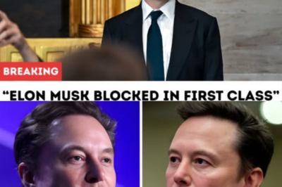 Elon Musk Blocked In First Class: Pilot Apologizes After Realizing Who He Is!