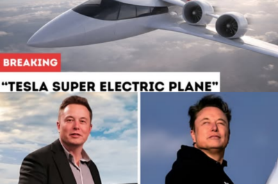 ELON MUSK’S NEW TESLA PLANE COULD END COMMERCIAL FLIGHT AS WE KNOW IT