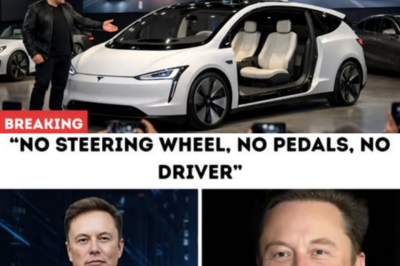 Elon Musk Launches Tesla’s Fully Self-Driving System: No Steering Wheel, No Pedals, No Driver — Just You and Your Trust in the Machine for a $30,000 Ride That Will Change All Traffic Rules.