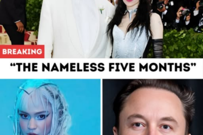 Before Grimes, Elon Musk had a secret five-month romance with a mysterious figure whose identity the media has never uncovered.