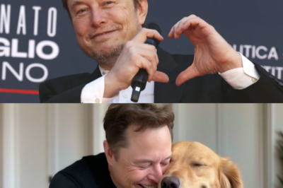 Elon Musk’s incredible act of kindness: rescuing a dog and pledging $10 million to support animals in need.