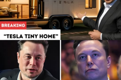 Elon Musk unveils a $5,579 Tesla tiny home built with SpaceX aerogel—a hurricane-proof marvel redefining sustainable living.