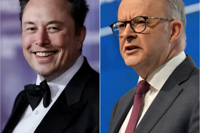 BREAKING: Elon Musk Clashes With Australian PM Anthony Albanese in Explosive Online Feud
