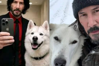 SANDRA BULLOCK BREAKS THE INTERNET: “Keanu Reeves Is Proof That Good People Still Exist!” — The Untold Truth Behind Hollywood’s Most Mysterious Hero