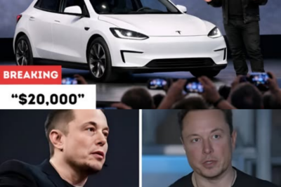 Elon Musk Shocks the Industry with the 2025 Tesla Model 2 Priced Under $20,000