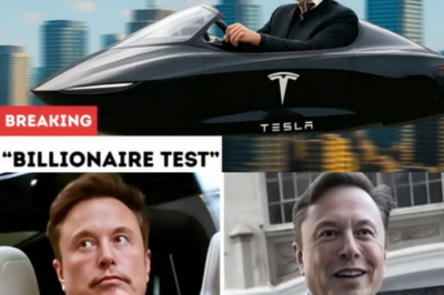 Elon Musk Finally Lets a Mysterious Billionaire Test Tesla’s Solar Car — His Reaction Surprised Everyone