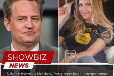 A figure linked to Matthew Perry case has been sentenced to 15 years, as authorities confirm details surrounding the incident, prompting renewed discussion about accountability and safety.