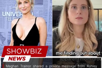 Meghan Trainor shared a private message from Ashley Tisdale following a reported “mom group” situation, sparking online discussion among fans.