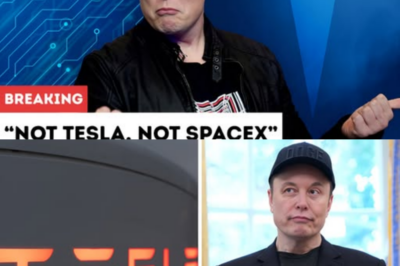 Not Tesla, Not SpaceX: The Hidden Tech Vision That Could Make Elon Musk a Trillionaire