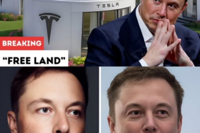 Elon Musk’s $7,999 Tesla Tiny House Is Here — But What’s the Truth About His “Free Land” Claim?