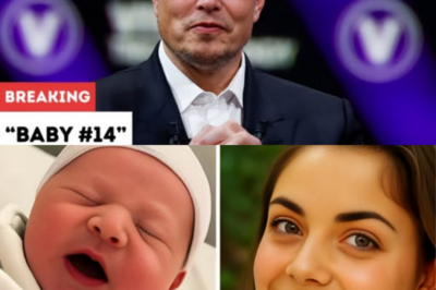 Elon Musk Becomes a Father Again — Meet Baby #14 With Shivon Zilis!