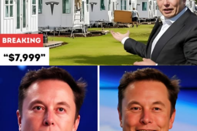 Elon Musk Just Dropped a $7,999 Tesla Home — And It Comes With Free Land