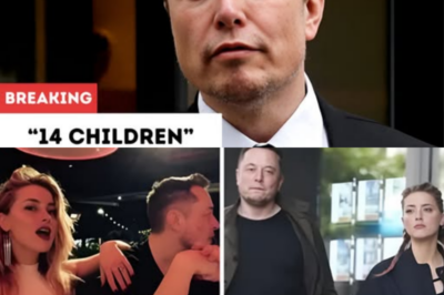 Is Elon Musk The Father of Amber Heard’s Children? Tech Billionaire Already Has 14 Children With 4 Women