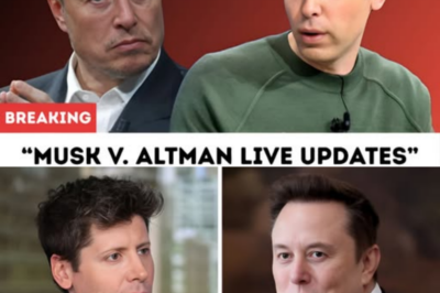 Everything You Missed From Elon Musk’s Testimony in the OpenAI Trial