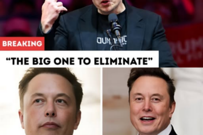 ‘The Big One to Eliminate’: Elon Musk’s Old Social Security Remarks Resurface in Viral Reddit Post, Sparking Fresh Backlash