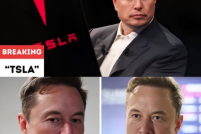 Elon Musk confirms that Tesla (TSLA) will never ship unsupervised FSD for Hardware 3 EVs