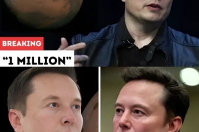 Elon Musk to get 200 million SpaceX shares if he can create Mars colony with 1 million people