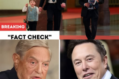 Fact Check: Did Elon Musk call George Soros America’s greatest adversary?