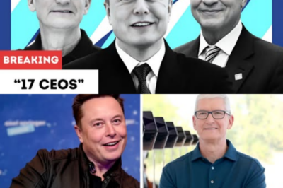 Elon Musk, Tim Cook among 17 CEOs likely to join President Donald Trump on China visit