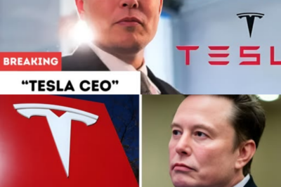 Elon Musk’s lawyer sends complaint to Judge saying that Tesla CEO did not get a fair trial; read the full letter