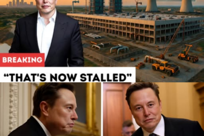 Tesla earnings recap: Elon Musk braces investors for a big spending increase but says it will pay off