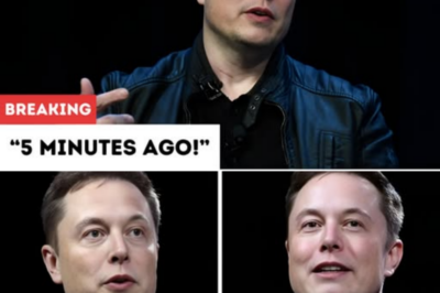 Elon Musk, Jensen Huang Flew With Trump to China Summit