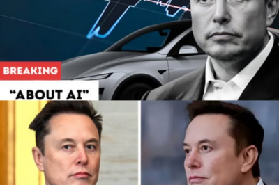 ‘Elon Musk knows cars, knows rockets but is clueless about AI’: OpenAI exec tells court on day 6 of trial