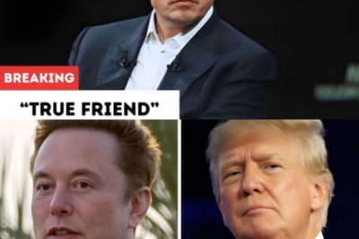 Elon Musk just admitted that CEO of one of the world’s biggest technology company is indeed his ‘true friend’