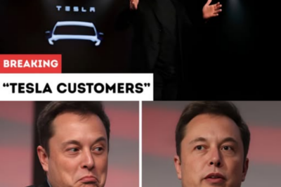 Elon Musk admits he lied to Tesla customers’ faces for years about self-driving