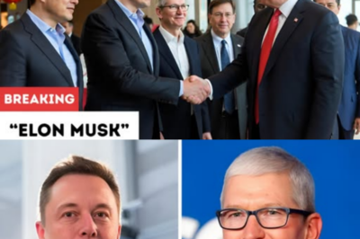 Elon Musk, Tim Cook And Other U.S. Executives Join Trump On China Trip